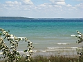 Western Michigan [2010] 555
